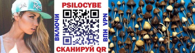 Псилоцибиновые грибы прущие грибы Дегтярск